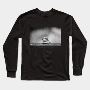 Nuthatch in midair Long Sleeve T-Shirt